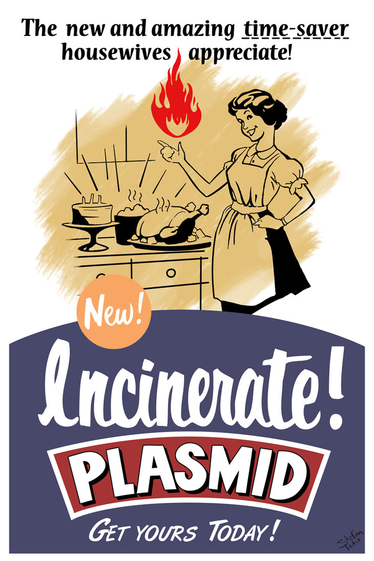 incinerate_plasmid_by_tinamin1-d4jh32c